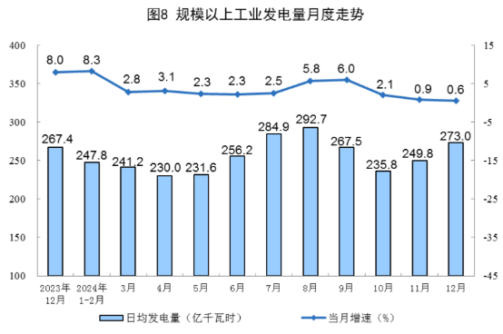 2024年12月份能源生产情况(图5)